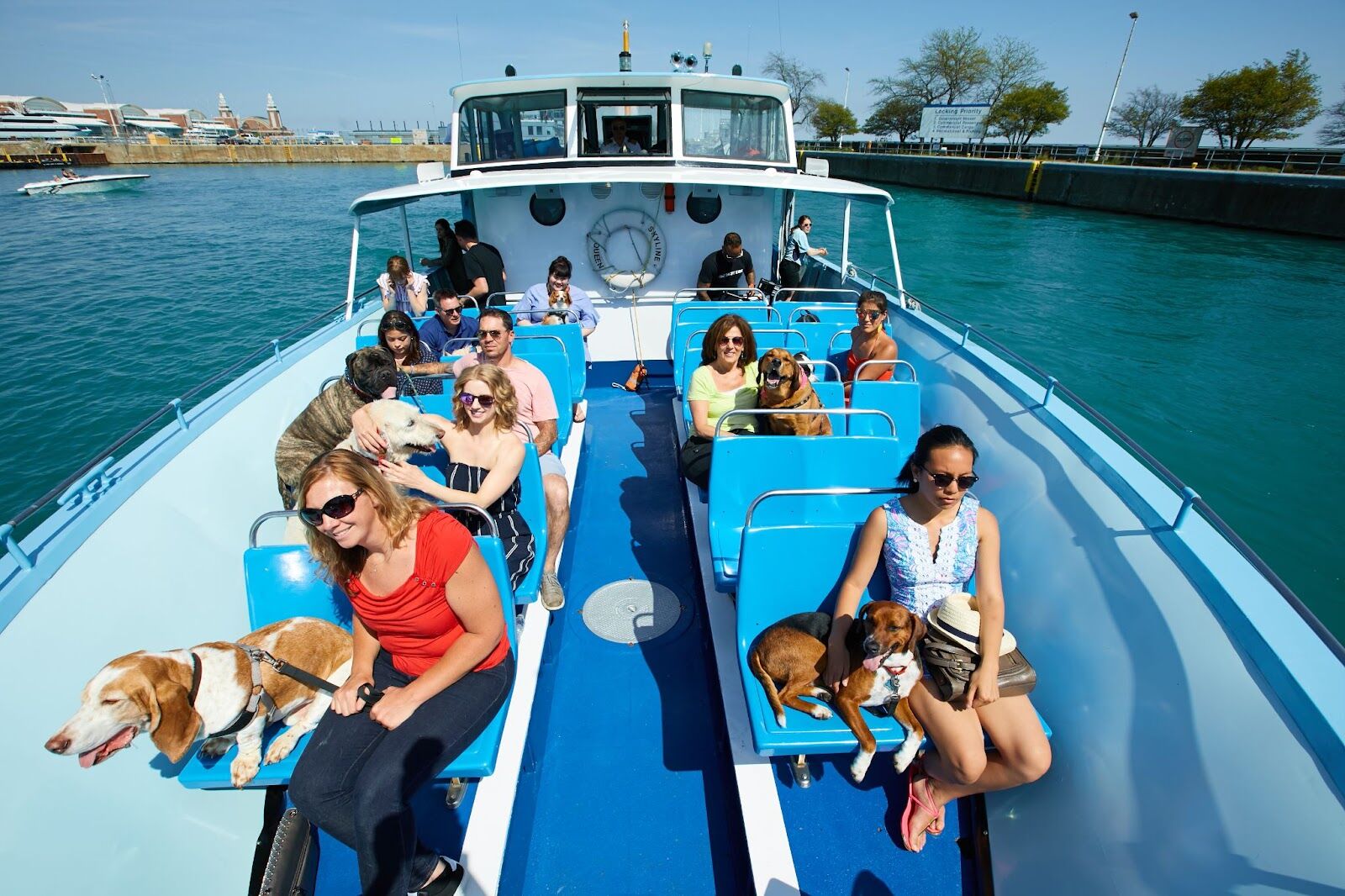 Paws on deck! Canine Cruise returns aboard First Lady for a doggone good time